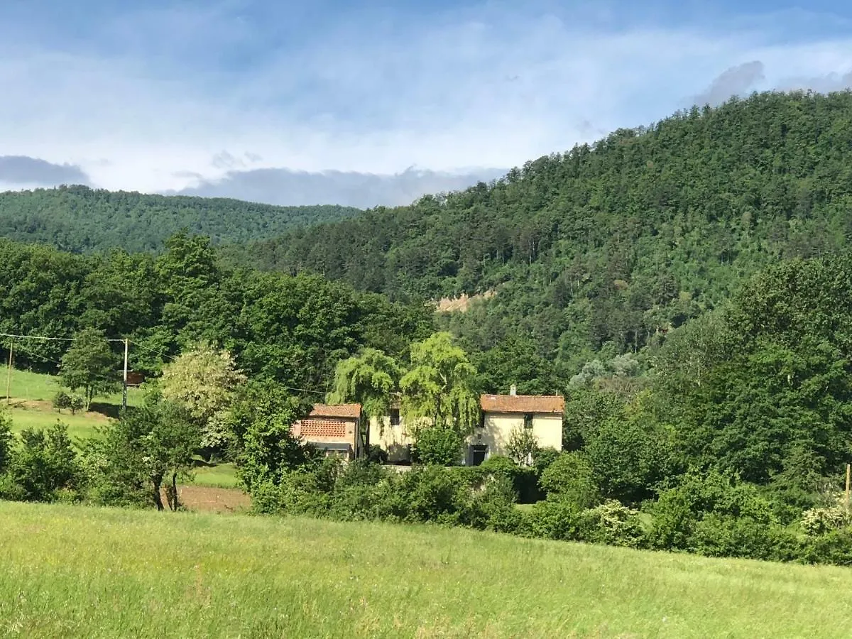 Poderuzzo Bed & Breakfast Osteria di Novoli 0*,  Italy